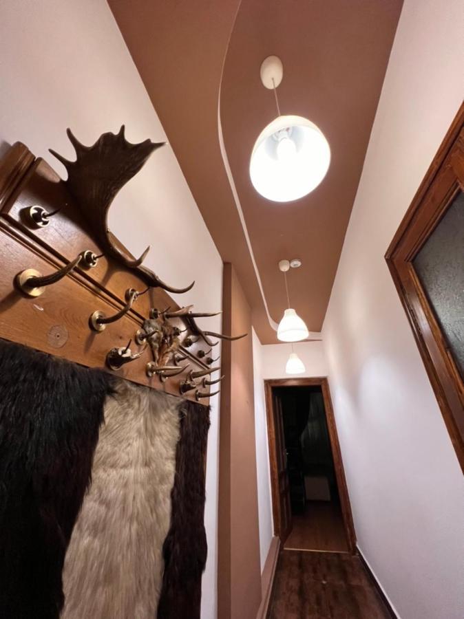 Artist Apartment Braşov Exteriör bild